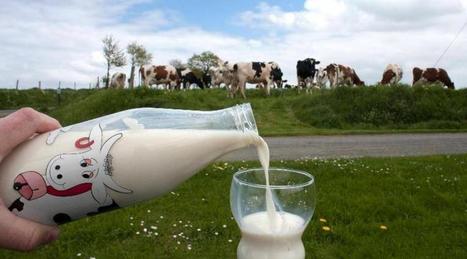 La fin des quotas laitiers inquiète les humanitaires | Lait de Normandie... et d'ailleurs | Scoop.it
