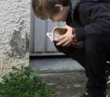 Les belles plantes font le trottoir… | Biodiversité - @ZEHUB on Twitter | Scoop.it
