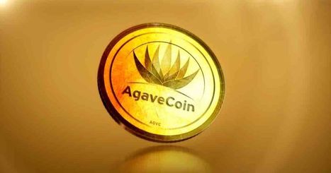 Criptomonedas y proyectos educativos deben trabajar juntos: Agavecoin | Educaci&oacute;n Siglo XXI, Econom&iacute;a 4.0 | Scoop.it
