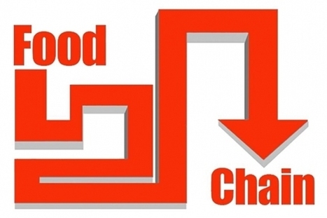 The Food Chain: Link 3 - Where do your favorite chefs eat when they&rsquo;re not in the kitchen? - Santa Fe Reporter | Modernist Cuisine | Scoop.it