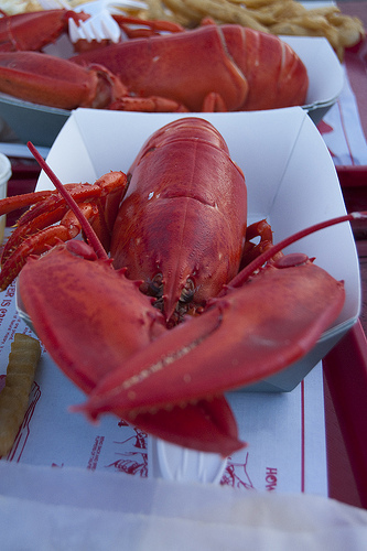 Lobster Dinner, Friday May 27 | 2011 Canadian Gymnastics Championships | Backyard Barbecues, Cookouts, tailgating ideas | Scoop.it