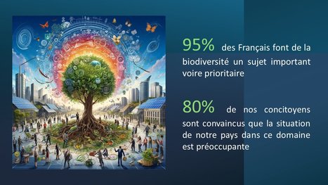 La biodiversité est désormais un enjeu majeur pour les Français - Baromètre RSE Odoxa avec I-Care et Capital | Biodiversité | Scoop.it