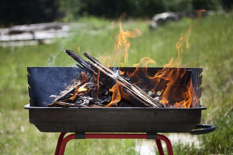 ALIMENTATION : La gastronomie s’enflamme pour le fumé | ALIMENTATIONS | Scoop.it