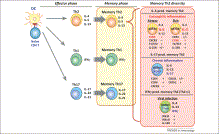 Trends in Immunology - Pathogenic memory type Th2 cells in allergic inflammation | Immunopathology & Immunotherapy | Scoop.it