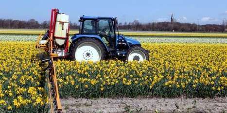 Pesticides : pourquoi la France en consomme de plus en plus | Les Colocs du jardin | Scoop.it