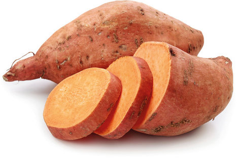 Nature Plants: Sweet! A naturally transgenic crop (2015) | Publications from The Sainsbury Laboratory | Scoop.it