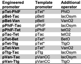 Engineering bacterial combinatorial promoters for two-input chemical AND switching | brvbe | RMH | Scoop.it
