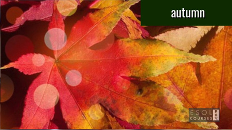 English Vocabulary for Autumn | Topical English Activities | Scoop.it