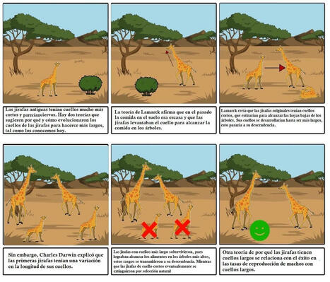 Teoría de Lamarck sobre la evolución: origen, postulados, ejemplos | Mi Cajón de Ideas | Scoop.it