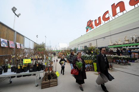 Auchan, Décathlon, Leroy-Merlin : comment vont les trois grandes enseignes de la famille Mulliez ? | Distribution - Innovation | Scoop.it
