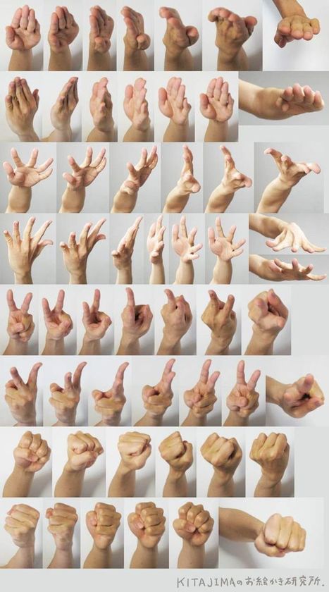 Featured image of post View 17 Hand Poses Reference Real