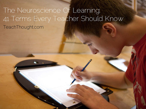 The Neuroscience Of Learning: 41 Terms Every Teacher Should Know | Aprendiendo a Distancia | Scoop.it