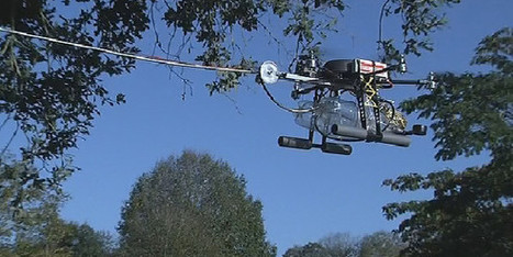 Un drone pour venir à bout des frelons asiatiques | Variétés entomologiques | Scoop.it
