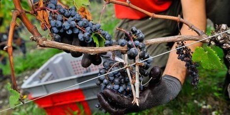 L'Aquitaine propose 112.000 emplois en 2015 | Atouts pour s’implanter et se développer en Nouvelle-Aquitaine | Scoop.it
