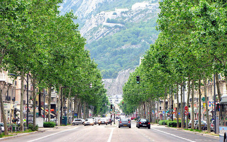Grenoble to replace street advertising with trees and 'community spaces' - Telegraph | Peer2Politics | Scoop.it