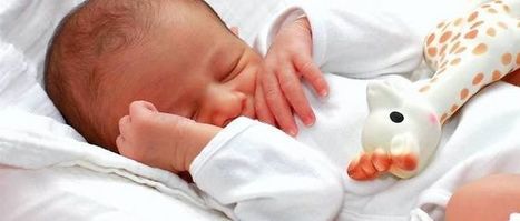 Bruxelles : une bourse des m&egrave;res porteuses annul&eacute;e | Bio&eacute;thique & Procr&eacute;ation | Scoop.it