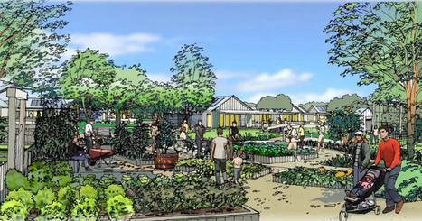 Australie : un impressionnant projet d'&eacute;covillage de 700 habitations | Build Green, pour un habitat &eacute;cologique | Scoop.it