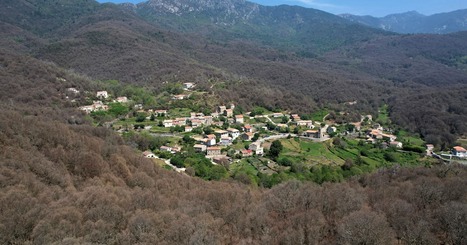 For&ecirc;ts&nbsp;: la mortalit&eacute; des arbres continue &agrave; augmenter en France - LIb&eacute;ration | Biodiversit&eacute; | Scoop.it
