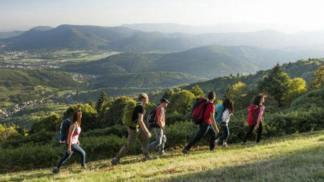 Conseil départemental : 2,4 millions d'euros pour l’appui aux territoires | Vosges télévision | La SELECTION du Web | CAUE des Vosges - www.caue88.com | Scoop.it