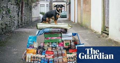 ‘I don’t trust the government to look after me or my dog’: meet the Brexit stockpilers | Politics | The Guardian | Macroeconomics: UK economy, IB Economics | Scoop.it