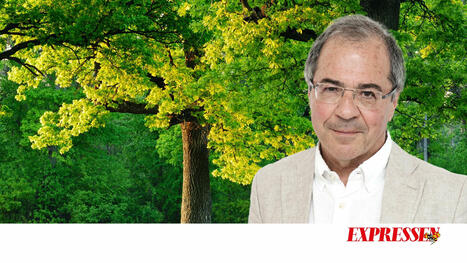Göran Rosenberg: Fred, frihet och demokrati är förunderliga ting | 1Uutiset - Lukemisen tähden | Scoop.it
