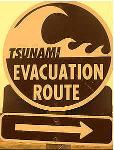 Rescue from the Digital Tsunami | Content Curation World | Scoop.it