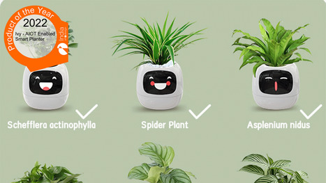 Emojis for Plants – Product of the Year 2022! – | India Art n Design - Design | Scoop.it
