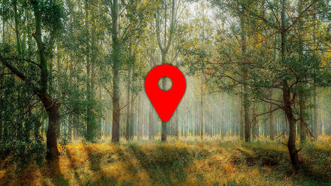 Google Fotos, así puedes encontrar las fotos según su ubicación | TECNOXPLORA | Educación, TIC y ecología | Scoop.it