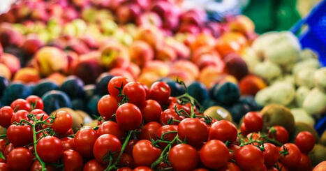Protecting and strengthening MALTA’s food, agricultural, and fisheries sectors | CIHEAM Press Review | Scoop.it