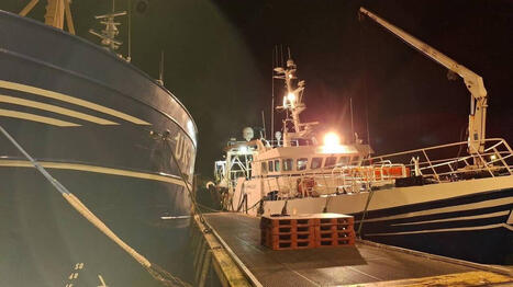 Le comit&eacute; des p&ecirc;ches des Hauts-de-France soutient la Normandie : &laquo;&nbsp;Il faut prot&eacute;ger les 12 milles sur toute la Manche&nbsp;&raquo; | HALIEUTIQUE MER ET LITTORAL | Scoop.it