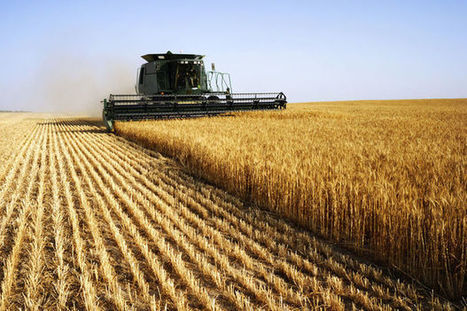 Des ONG belges dénoncent l'"agrobusiness" soutenu par la Banque mondiale | Questions de développement ... | Scoop.it