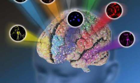 New microscopy method breaks color barrier of optical imaging | Amazing Science | Scoop.it