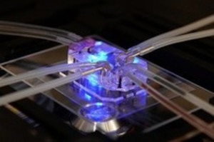 Testing Asthma Drugs on a Microchip | Innovating to what's next... | Scoop.it