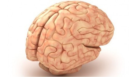Polymer implants could help heal brain injuries | Longevity science | Scoop.it
