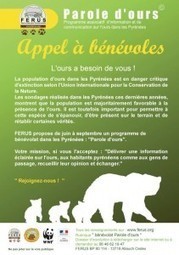 Aidez nous : affiches et flyers bénévolat Parole d'ours à diffuser | FERUS | Pastoralisme Ours Loups Lynx | Scoop.it