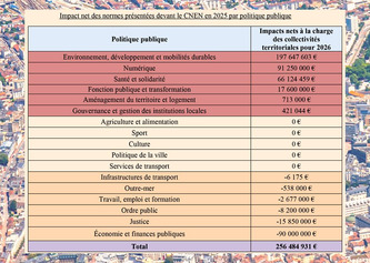 Nouvelles normes applicables aux collectivit&eacute;s : moins nombreuses et moins co&ucirc;teuses | Politiques publiques et soci&eacute;t&eacute; | Scoop.it