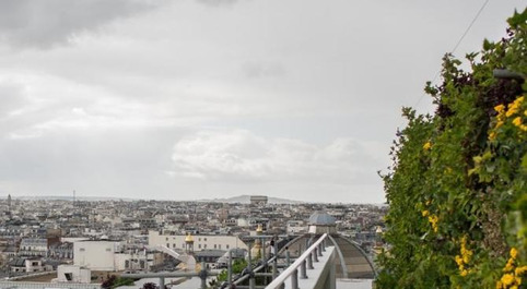 Paris - Paris-culteurs, le projet pour une agriculture urbaine en capitale | Veille territoriale AURH | Scoop.it