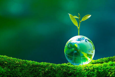 Digital ESG Strategies: The Future Of Corporate Sustainability | Ethical Leadership and Governance | Scoop.it