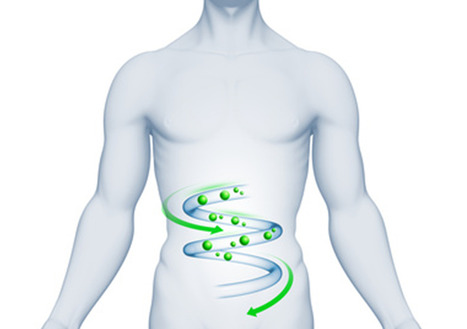 Maladies inflammatoires et chroniques de l&rsquo;intestin&nbsp;: le r&ocirc;le anti-inflammatoire d&rsquo;une bact&eacute;rie du microbiote intestinal ouvre la voie vers de nouvelles pistes th&eacute;rapeutiques | Life Sciences Universit&eacute; Paris-Saclay | Scoop.it