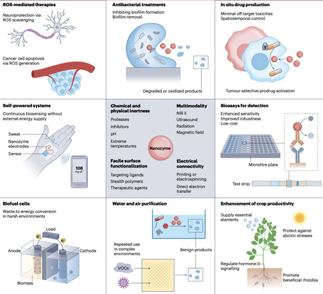 Can nanozymes achieve more than enzymes? | Nrm | RMH | Scoop.it