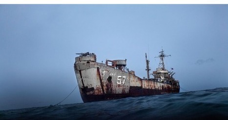 A Game of Shark and Minnow | SSSC Politics  China | Scoop.it