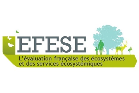 Les &eacute;cosyst&egrave;mes marins et c&ocirc;tiers | Biodiversit&eacute; | Scoop.it