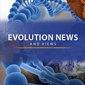 Spectacular Discovery Reveals Power Grid in Muscle Cells; Design Implications Are Profound | Health Supreme | Scoop.it