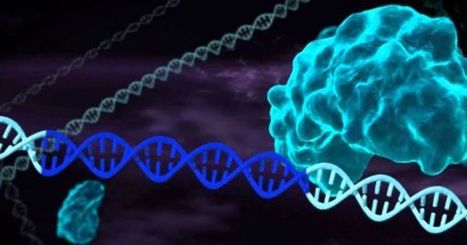 Scientists Unveil A Novel Genome Editing Technique Similar To CRISPR-CAS | Amazing Science | Scoop.it