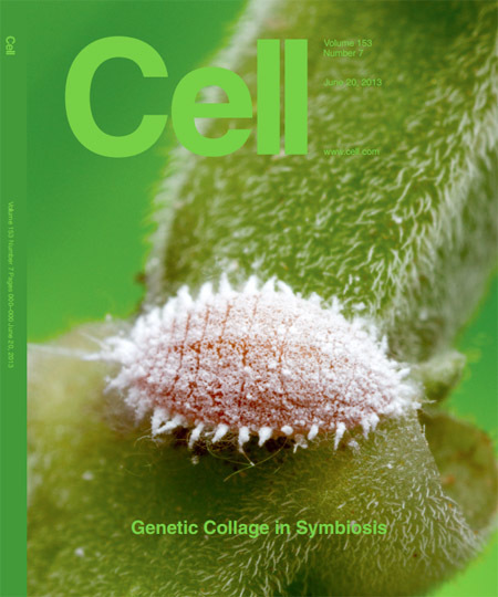 A bug in a bug in a bug on the cover of Cell | Insect Archive | Scoop.it