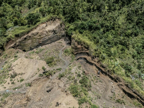 A Anjouan, aux Comores, un sursaut pour sauver la forêt en perdition | Biodiversité - @ZEHUB on Twitter | Scoop.it