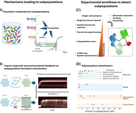 Subpopulation networks: a scaling principle for engineering living systems | tin | RMH | Scoop.it