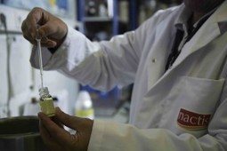 Ar&ocirc;mes : Nactis jongle sur les mol&eacute;cules de synth&egrave;se et le biosourc&eacute; | Innovation Agro-activit&eacute;s et Bio-industries | Scoop.it