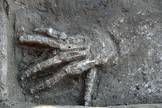 Severed Hands Discovered in Ancient Egypt Palace | Archaeology News | Scoop.it