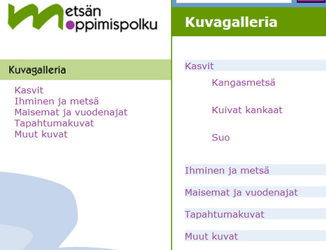 Metsän oppimispolku - kuvagalleria | 1Uutiset - Lukemisen tähden | Scoop.it